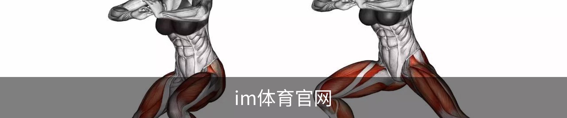 IM体育官网首页 - 权威赛事同步更新 · IM SPORT